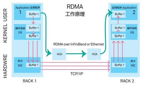 火遍全網的DPU，到底是個啥？連同生物質能資源數據庫信息系統一起看懂